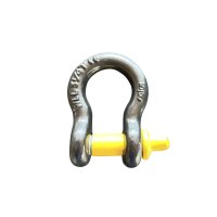 Szekla Omega 3/4T (WLL 0,75 tony) – z malowanym...